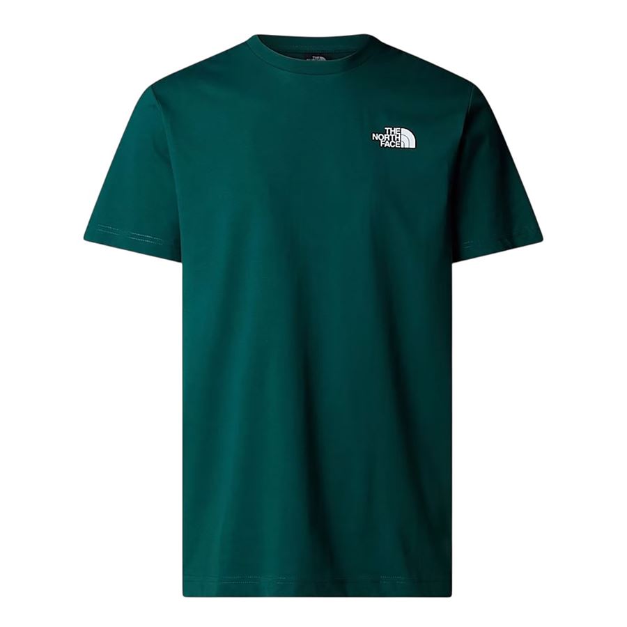 Redbox Celebration t-shirt maniche corte da uomo The North Face | NF0A87NV6GI